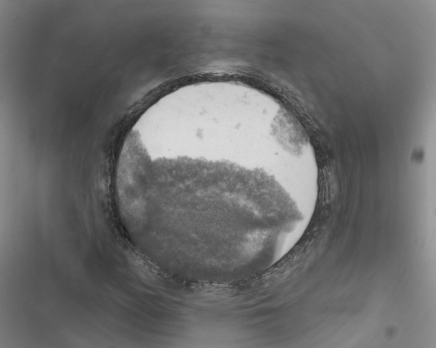 X0000116831158201001151220