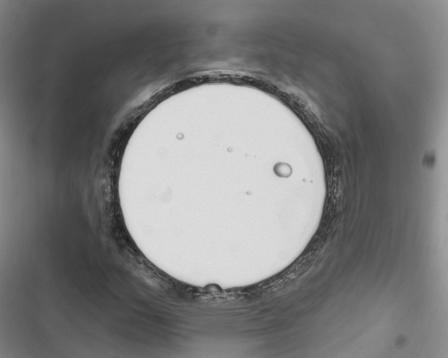 X0000116831159201001151220