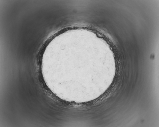 X0000116831160201001151220