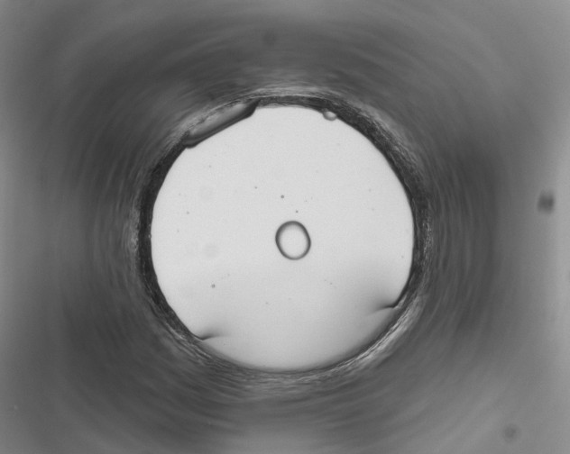 X0000116831161201001151220