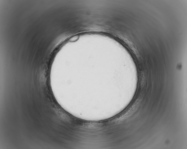 X0000116831163201001151220