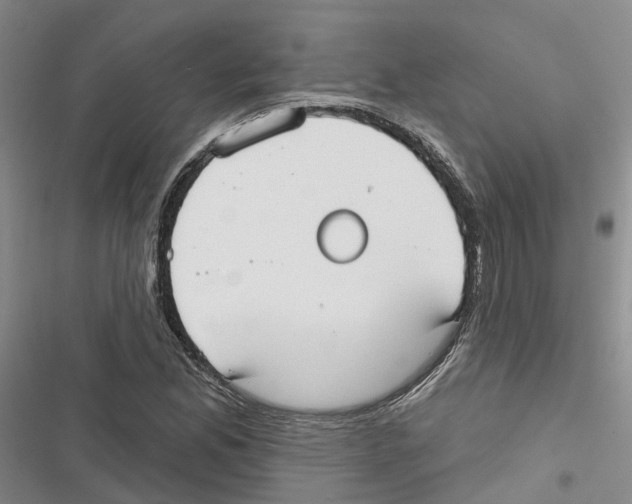 X0000116831165201001151220