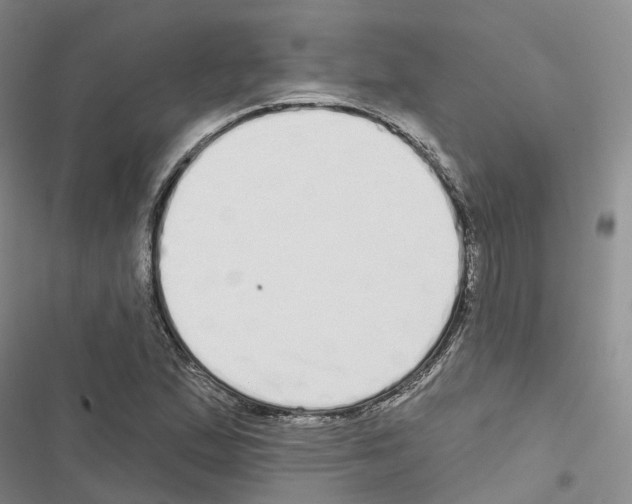 X0000116831167201001151220