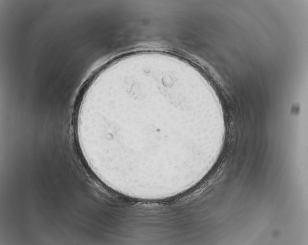 X0000116831168201001151220