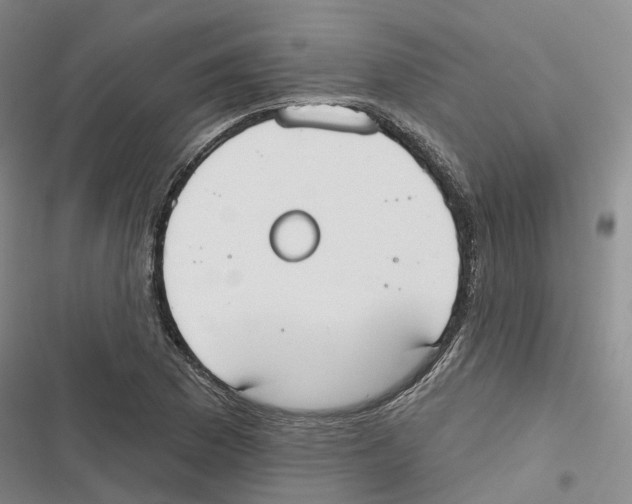 X0000116831169201001151220