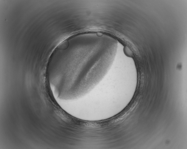 X0000116831170201001151220