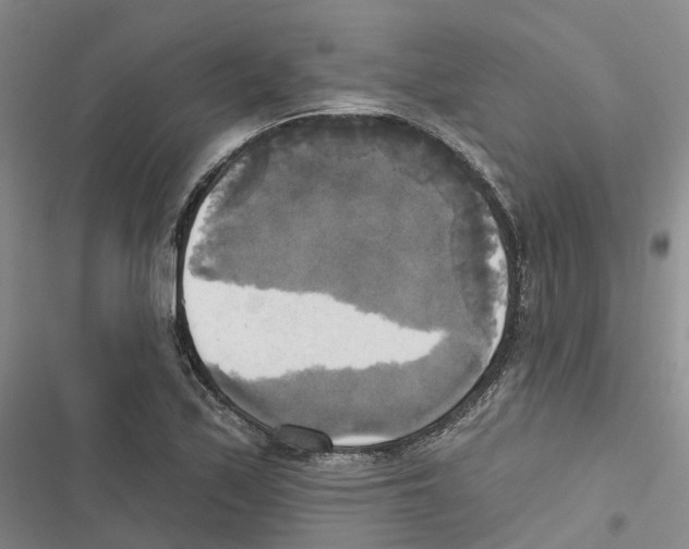 X0000116831171201001151220