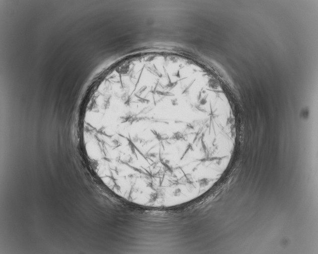 X0000116831172201001151220