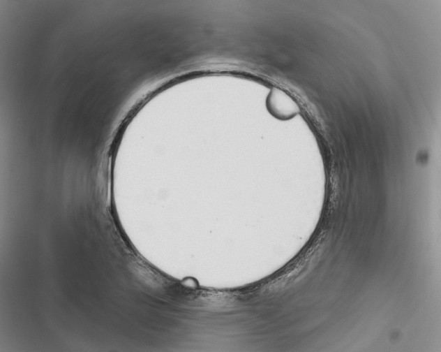 X0000116831175201001151220