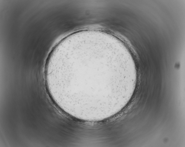 X0000116831176201001151220