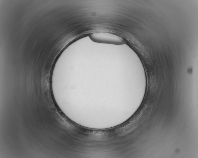 X0000116831177201001151220