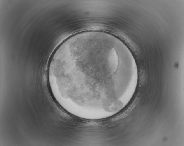 X0000116831178201001151220