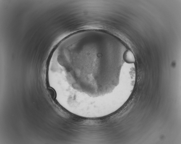 X0000116831179201001151220