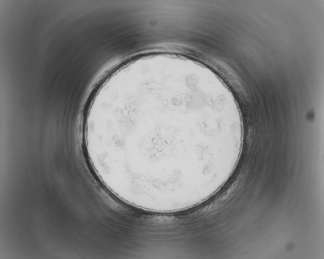 X0000116831180201001151220