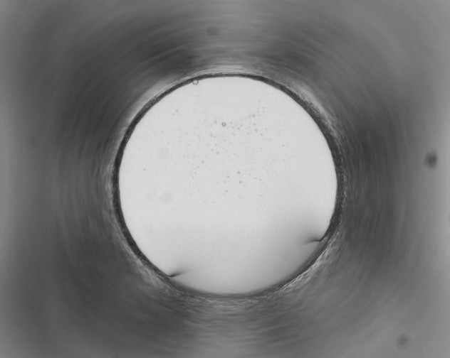 X0000116831181201001151220