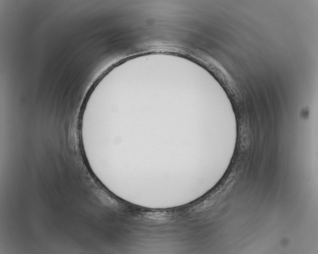 X0000116831182201001151220