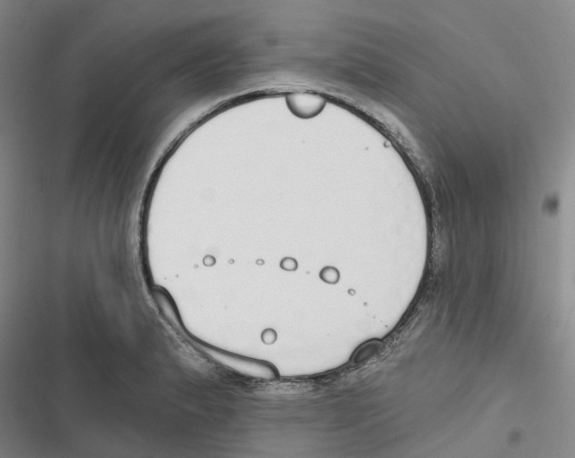 X0000116831183201001151220