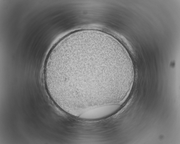 X0000116831184201001151220