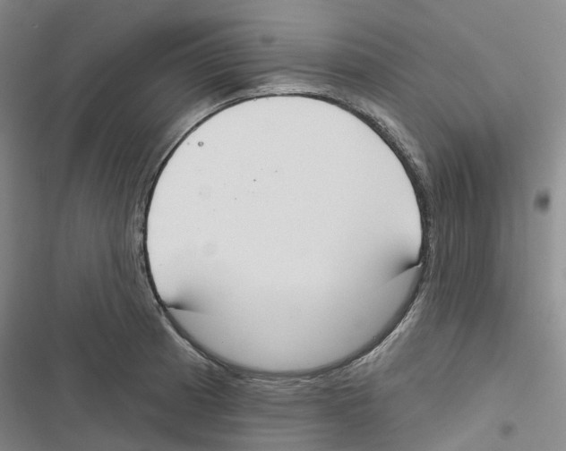 X0000116831185201001151220