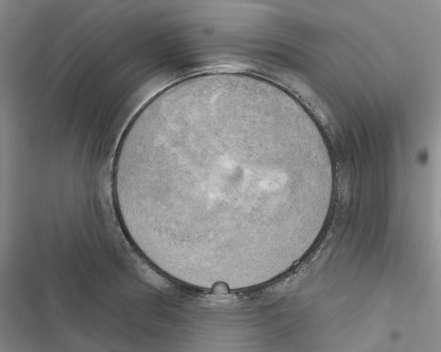 X0000116831186201001151220