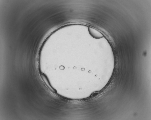 X0000116831188201001151220