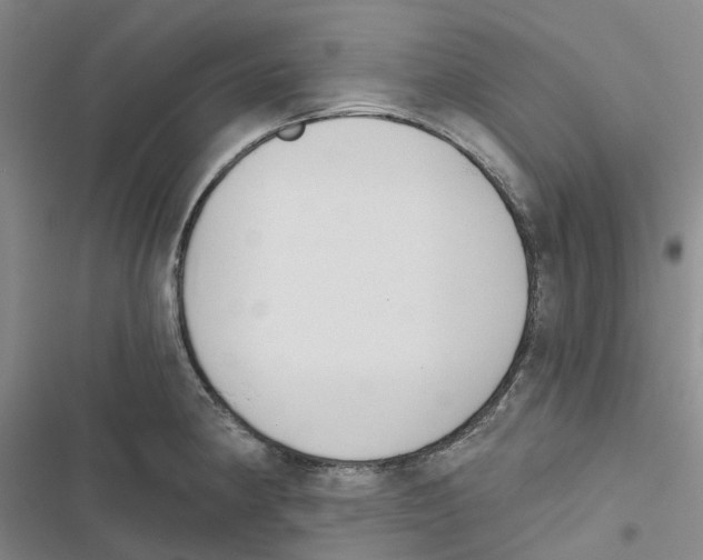 X0000116831190201001151220