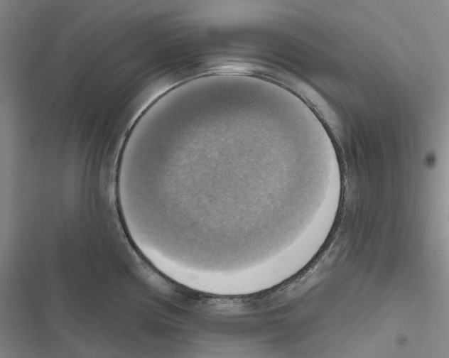 X0000116831194201001151220