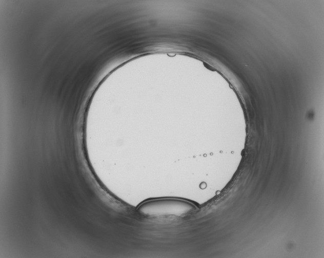 X0000116831195201001151220