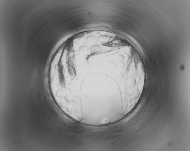 X0000116831196201001151220