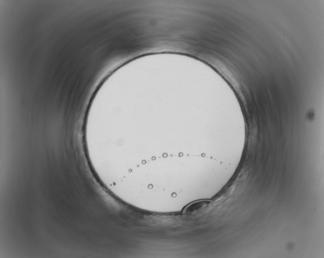 X0000116831197201001151220