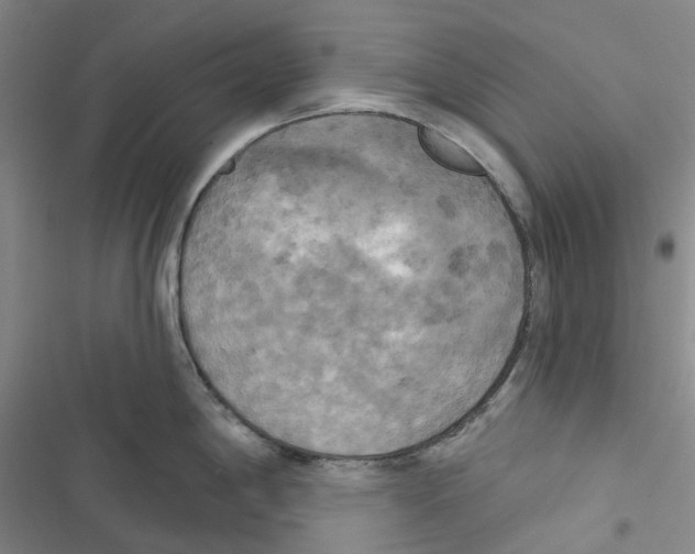 X0000116831198201001151220