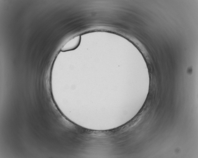 X0000116831199201001151220