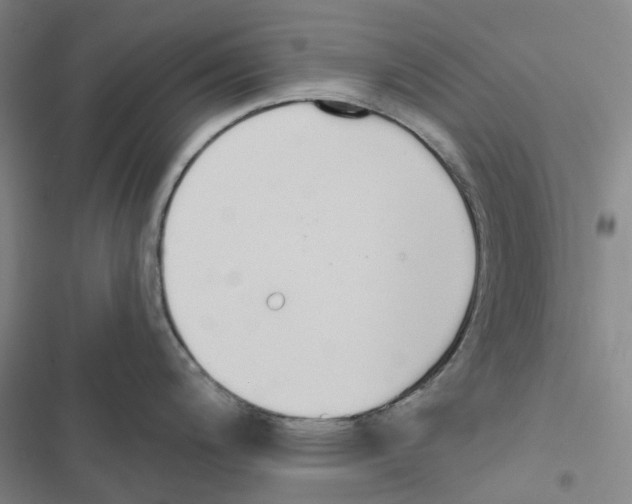 X0000116831200201001151220