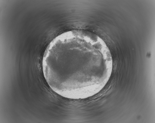 X0000116831202201001151219