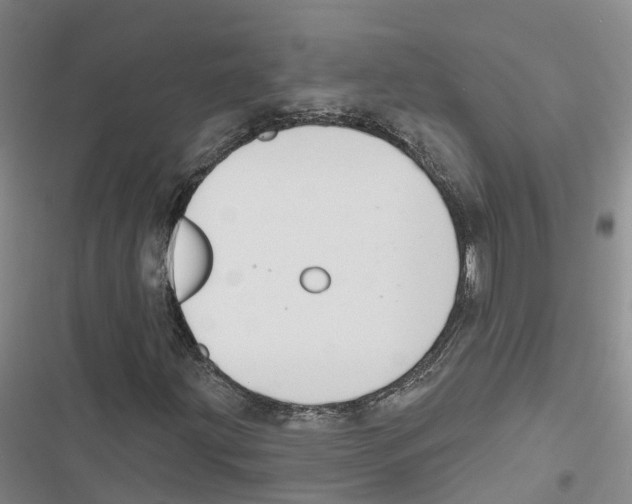 X0000116831203201001151219