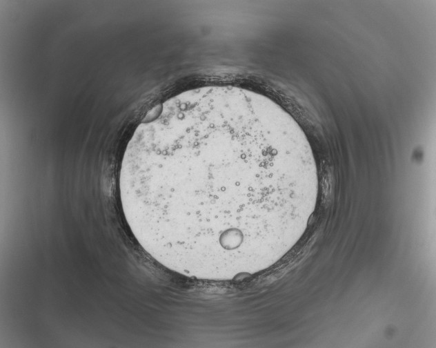 X0000116831204201001151219