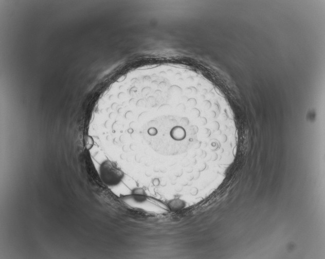 X0000116831205201001151219