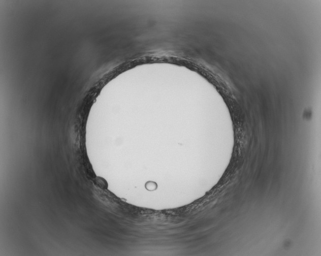 X0000116831207201001151219