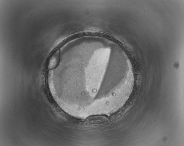 X0000116831208201001151219