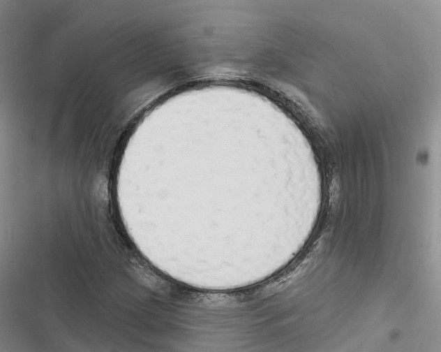 X0000116831209201001151219