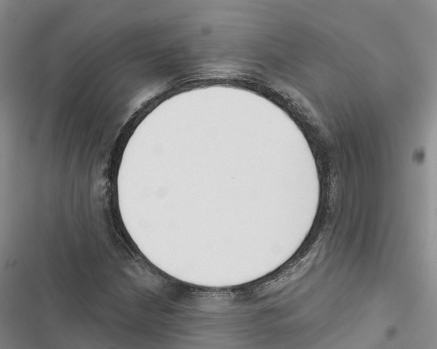 X0000116831210201001151219