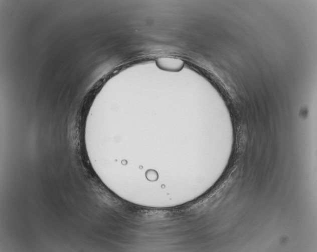 X0000116831211201001151219