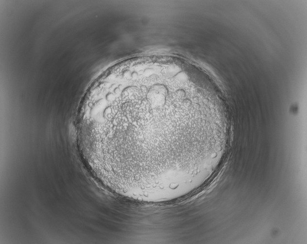 X0000116831212201001151219