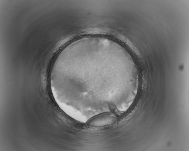 X0000116831213201001151219