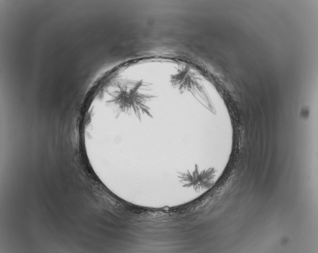 X0000116831214201001151219