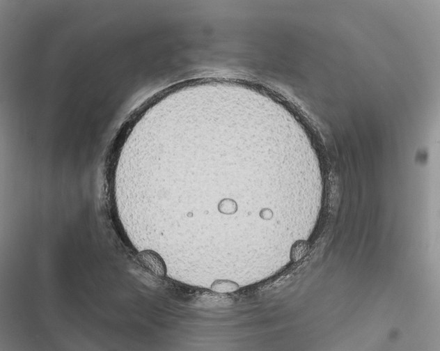 X0000116831215201001151219