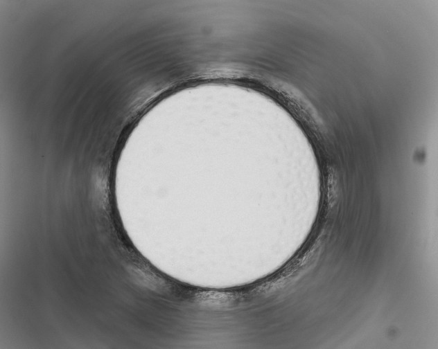 X0000116831217201001151219