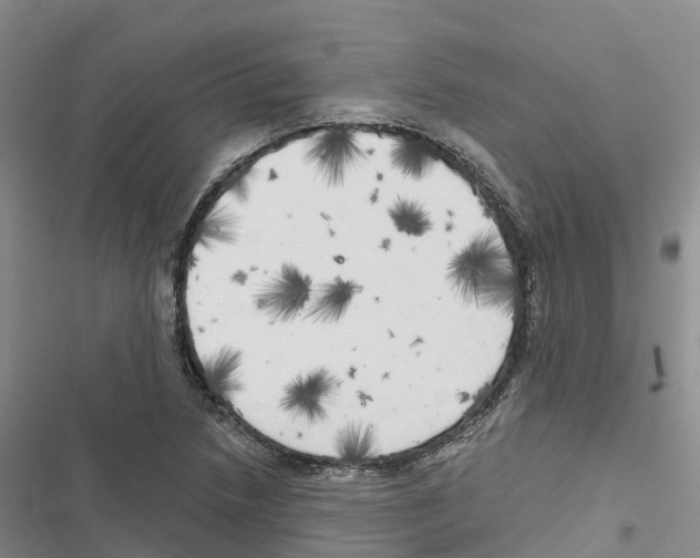 X0000116831218201001151219