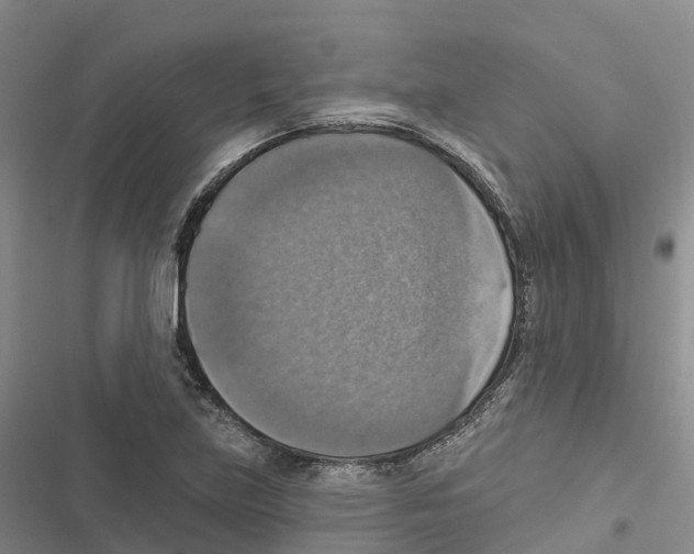 X0000116831219201001151219