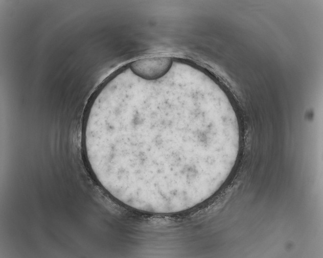 X0000116831220201001151219